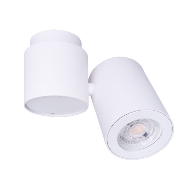 Deckenspot BARRO WEISS