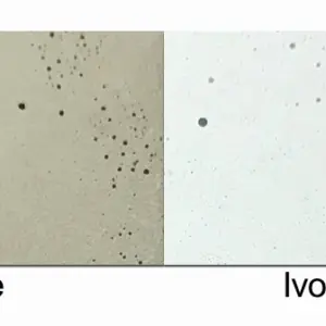 Beton-Hängeleuchte Hedera – Bild 16