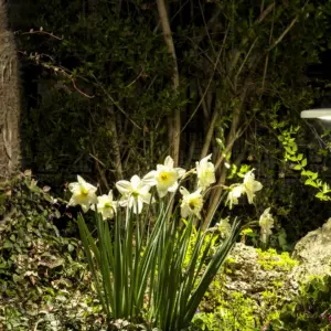 Designer LED-Erdspießleuchte Salvia Outdoor Zava Luce – Bild 3