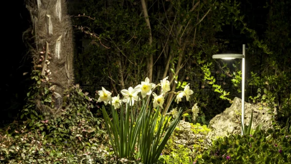 Designer LED-Erdspießleuchte Salvia Outdoor Zava Luce