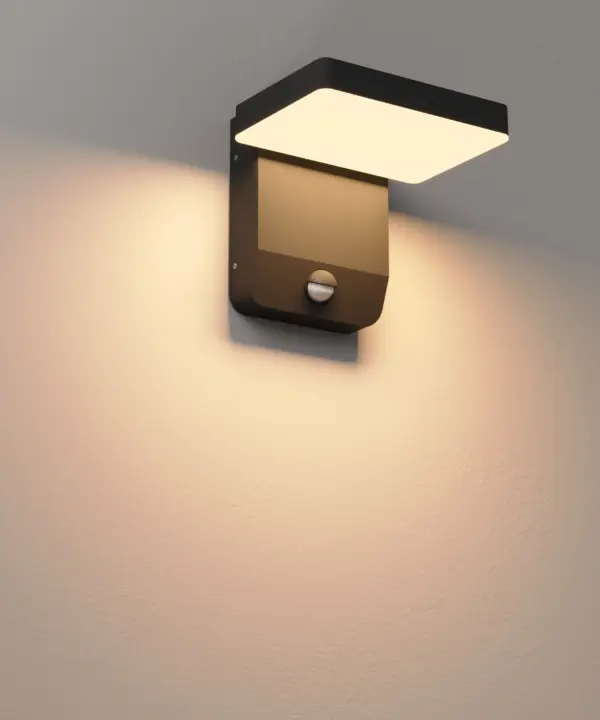 Wandlampe - LED-Außenwandleuchte mit Bewegungsmelder Ladis IP65